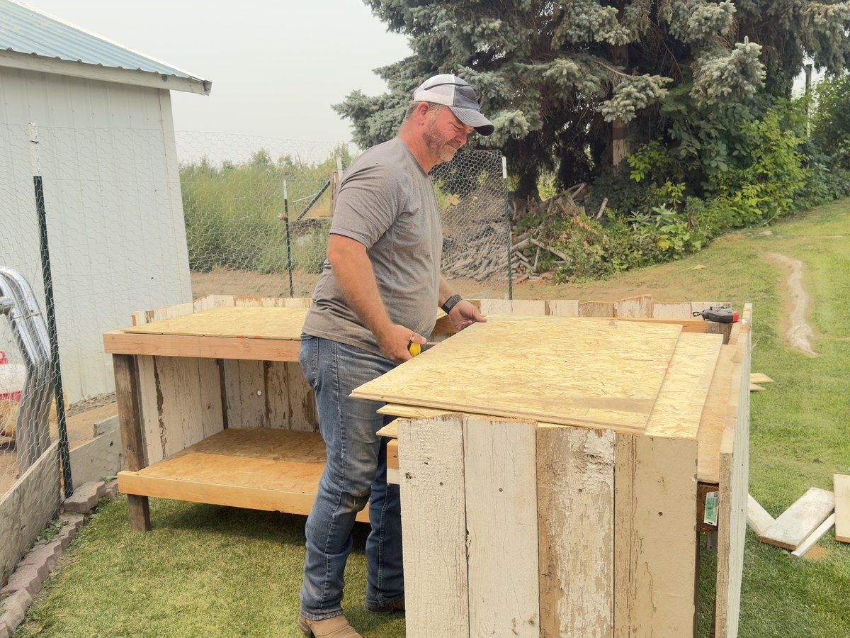 Someone building the wood roosting bays on the grass, fitting a sheet of OSB across the top