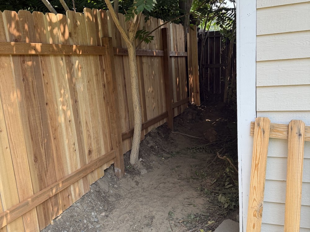 Cedar fence running past a young tree, a spare picket panel leaning against cream siding