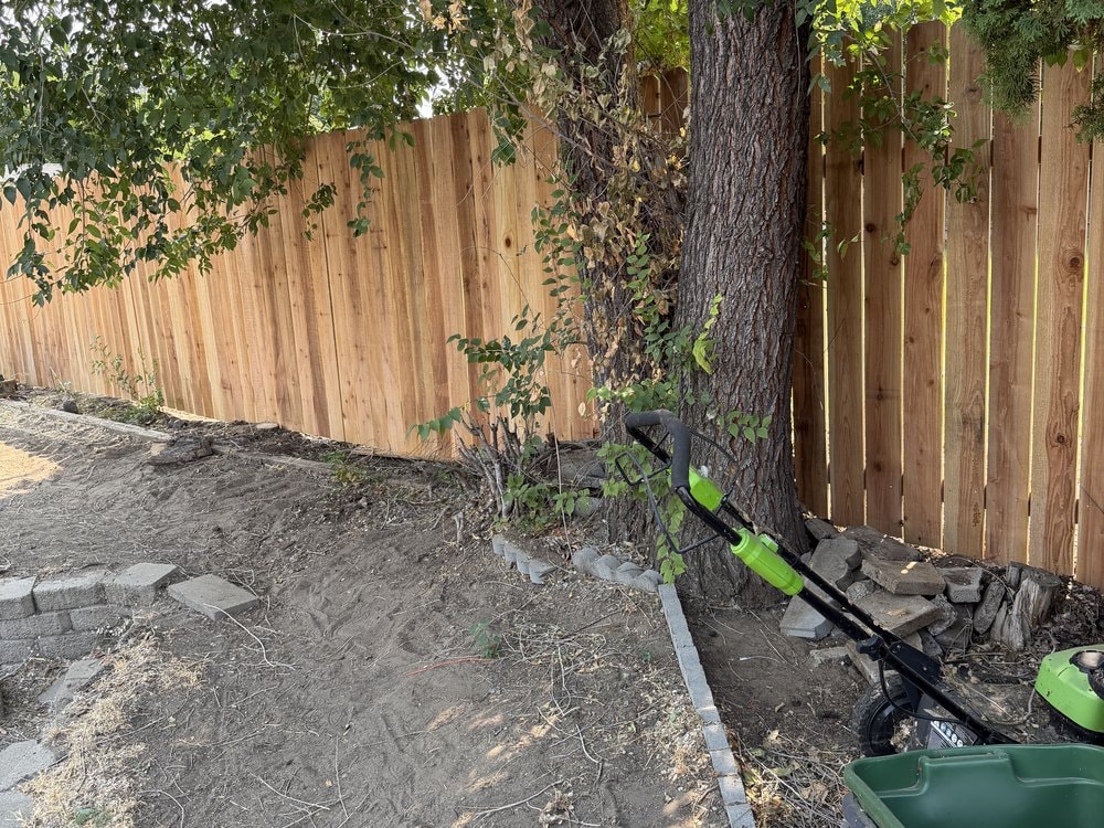 Cedar boards running behind a large tree trunk with a string trimmer leaning against it