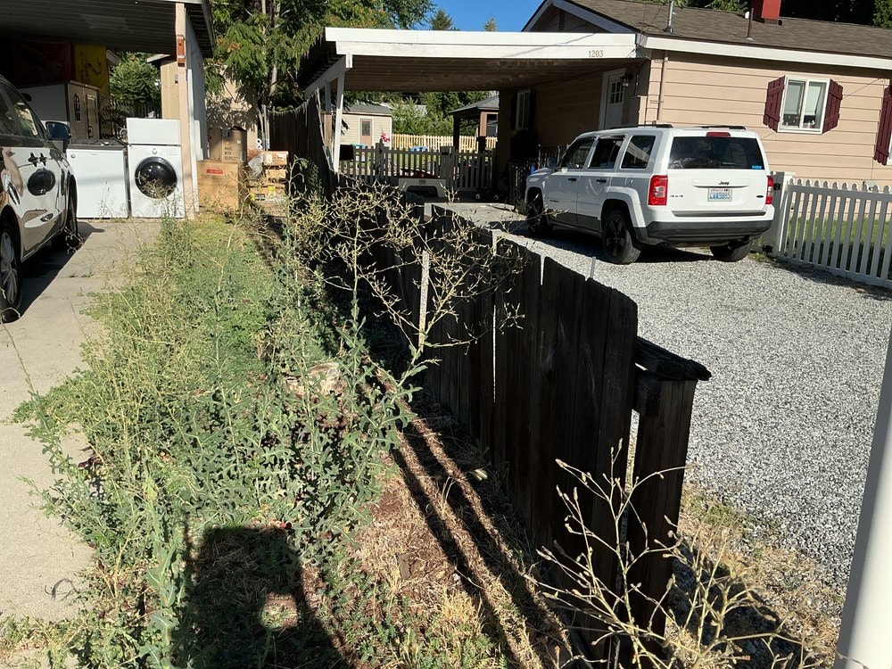 Leaning dark fence boards and tall weeds between a concrete driveway and gravel parking