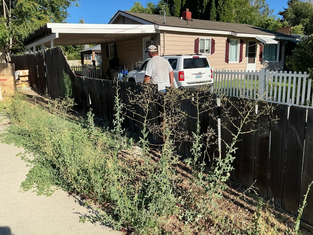 Someone standing by a parked SUV beyond a sagging dark fence overgrown with weeds