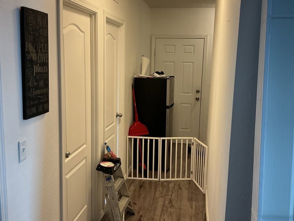 Hallway with two white panel doors on the left, a step ladder, and a folding pet gate